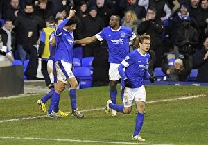 Images Dated 2nd February 2013: Marouane Fellaini's Hat-Trick Thrills in Everton's 3-3 Draw Against Aston Villa