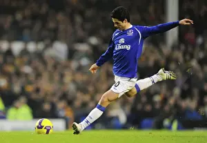 Mikel Arteta Scores the Second Goal: Everton's Victory over Hull City, Barclays Premier League, Goodison Park, January 10, 2009