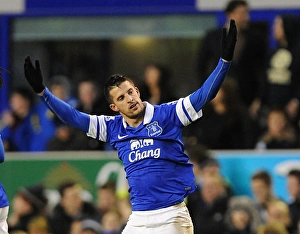 Mirallas Double: Everton's Triumph Over Norwich City (11-01-2014)