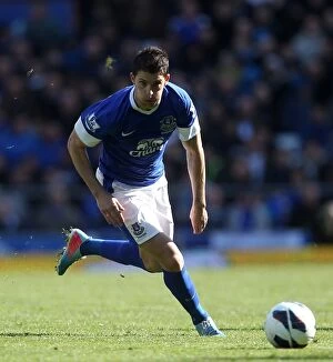 Images Dated 27th April 2013: Mirallas Stuns Fulham: Everton's Winning Goal (Goodison Park, 2013)