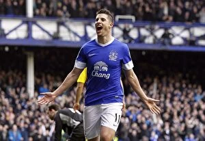 Images Dated 2nd March 2013: Mirallas' Triumph: Everton's Exhilarating Third Goal vs. Reading (3-1) - Goodison Park (02-03-2013)