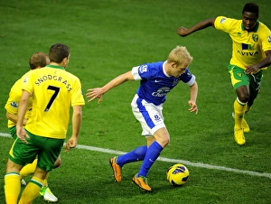 Naismith in Action: Everton vs Norwich City - 1-1 Stalemate at Goodison Park