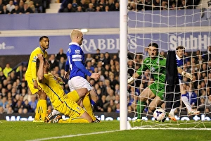 Everton 2 V Crystal Palace 3 : Goodison Park : 16-04-2014 Prints: Naismith Strikes: Everton vs Crystal Palace - A Dramatic Goal in the BPL (16-04-2014)