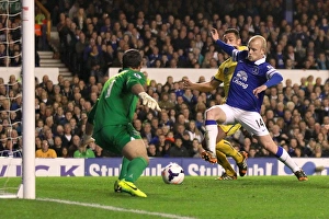 Everton 2 V Crystal Palace 3 : Goodison Park : 16-04-2014 Prints: Naismith Stuns Everton: Crystal Palace's Thrilling 3-2 Comeback at Goodison Park