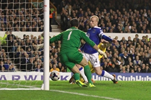 Everton 2 V Crystal Palace 3 : Goodison Park : 16-04-2014 Prints: Naismith's Dramatic Goal: Everton vs Crystal Palace in BPL (16-04-2014) - Everton 2
