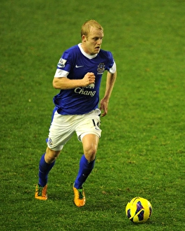 Everton 1 V Norwich City 1 : Goodison Park : 24-11-2012 Prints: Naismith's Stalemate: Everton vs Norwich City