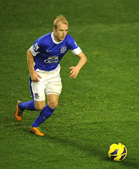 Everton 1 V Norwich City 1 : Goodison Park : 24-11-2012 Prints: Naismith's Stalemate: Everton vs Norwich City, 1-1 (November 24, 2012)