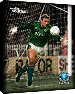 Images Dated 9th November 2011: Neville Southall Retro Canvas