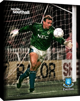 Special Editions Collection: Neville Southall Retro Canvas
