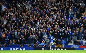 Premier League - Everton v Stoke City - Goodison Park