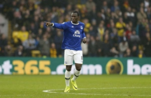 Soccer Football Full Length Collection: Premier League - Watford v Everton - Vicarage Road
