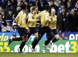 Reading v Everton Andy Johnson celebrates his goal for Everton with team mates