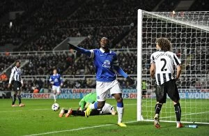 Images Dated 25th March 2014: Romelu Lukaku's Brace: Everton's 3-0 Victory Over Newcastle United (25-03-2014)