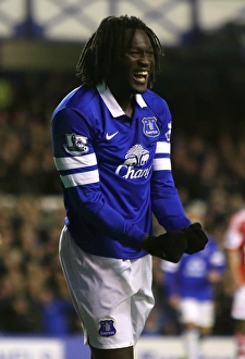 Everton 4 V Stoke City 0 : Goodison Park : 30-11-2013 Prints: Romelu Lukaku's Brace: Everton's 4-0 Thrashing of Stoke City