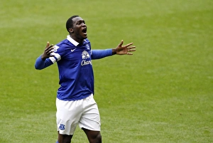 Everton 3 V Arsenal 0 : Goodison Park : 06-04-2014 Prints: Romelu Lukaku's Double Strike: Everton's Triumph Over Arsenal (3-0)