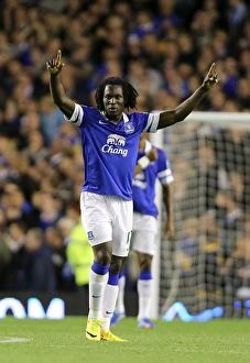 Season 2013-14 Prints: Romelu Lukaku's Triple: Everton's Comeback Win Against Newcastle United (3-2)