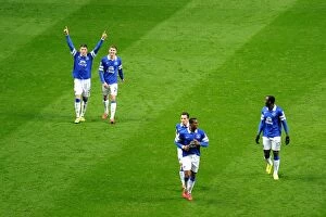 Images Dated 25th March 2014: Ross Barkley's Strike: Everton's Triumph over Newcastle United (25-03-2014)