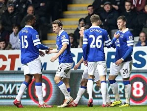Images Dated 25th March 2014: Ross Barkley's Thriller: Everton's Opening Goal in 3-0 Victory over Newcastle United