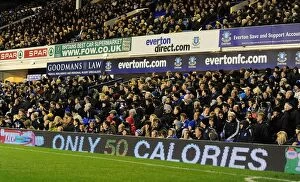 Images Dated 10th November 2010: Sea of Passion: Everton FC Fans United at Goodison Park (Premier League: Everton vs)