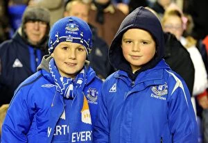 Images Dated 10th November 2010: Sea of Passion: Everton FC's Unwavering Support Unfolds at Goodison Park (vs)
