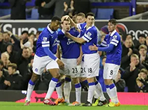 Seamus Coleman's Brace: Everton's Double Dominance Over Fulham (14-12-2013)