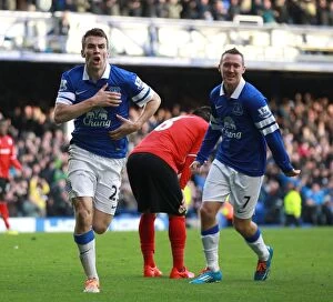 Images Dated 15th March 2014: Seamus Coleman's Decisive Goal: Everton Secures 2-1 Victory over Cardiff City (15-03-2014)