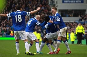 Images Dated 15th March 2014: Seamus Coleman's Double: Everton Edge Past Cardiff 2-1 (Goodison Park, 15-03-2014)