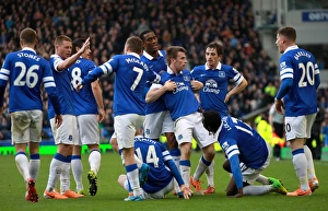 Everton 2 V Cardiff City 1 : Goodison Park : 15-03-2014 Prints: Seamus Coleman's Double: Everton's Triumph over Cardiff City in the Barclays Premier League (15-03-2014)
