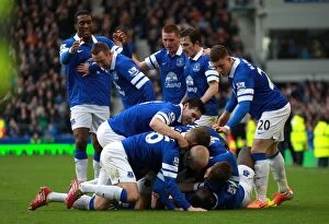 Everton 2 v Cardiff City 1 : Goodison Park : 15-03-2014 Collection: Seamus Coleman's Double: Everton's Victory Over Cardiff City in the Premier League (15-03-2014)