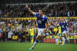 Norwich City 2 v Everton 2 : Carrow Road : 17-08-2013 Collection: Seamus Coleman's Double: Thrilling 2-2 Draw at Norwich City (August 17, 2013)