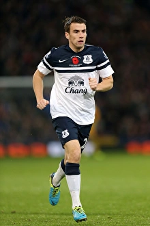 Crystal Palace 0 V Everton 0 : Selhurst Park : 09-11-2013 Prints: Seamus Coleman's Heroic Performance: Everton Holds Crystal Palace Scoreless at Selhurst Park (BPL: Everton vs)