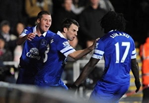 Swansea City 1 V Everton 2 : Liberty Stadium : 22-12-2013 Prints: Seamus Coleman's Opener: Everton's Thrilling 2-1 Victory Over Swansea City (December 22)