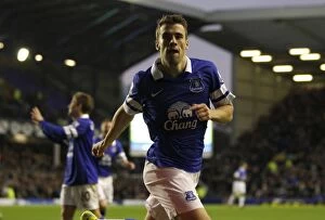 Images Dated 30th November 2013: Seamus Coleman's Strike: Everton's 4-0 Triumph over Stoke City at Goodison Park