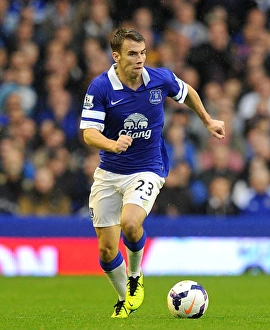 Seamus Coleman's Strike: Everton's Triumph Over Hull City in the Barclays Premier League (19-10-2013)
