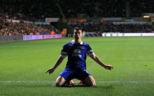 Images Dated 22nd December 2013: Seamus Coleman's Stunner: The Game-Winning Goal for Everton vs. Swansea City (12-22-2013)