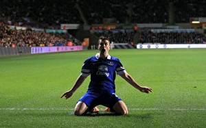 Swansea City 1 V Everton 2 : Liberty Stadium : 22-12-2013 Prints: Seamus Coleman's Stunner: The Game-Winning Goal for Everton vs