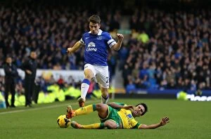 Images Dated 11th January 2014: Seamus Coleman's Triumph: Everton's Battle Against Norwich City (11-01-2014)
