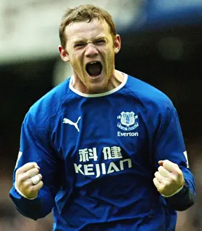 Soccer - Barclaycard Premiership Match - Everton v Portsmouth - Goodison Park, Liverpool