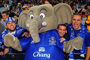 Images Dated 10th July 2010: Soccer - Pre Season Friendly - Sydney FC v Everton - ANZ Stadium