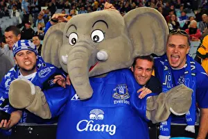 Soccer - Pre Season Friendly - Sydney FC v Everton - ANZ Stadium