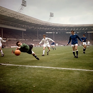 Images Dated 7th December 2010: Soccer - Sheffield Wednesday v Everton - FA Cup Final - Wembley