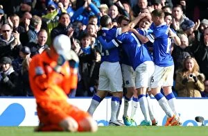Images Dated 16th February 2014: Steven Naismith's FA Cup Goal: Everton's Triumph Over Swansea City (16-02-2014)