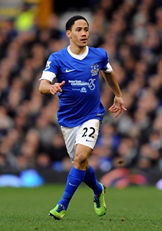 Everton 3 V Aston Villa 3 : Goodison Park : 02-02-2013 Prints: Steven Pienaar's Brilliant Display: Everton's Thrilling 3-3 Draw Against Aston Villa (02-02-2013)
