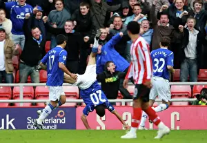 2009 Prints: Steven Pienaar's Goal: Everton's Triumph at Sunderland in the Barclays Premier League
