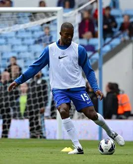 Aston Villa 1 V Everton 3: Villa Park: 25-08-2012 Prints: Sylvain Distin's Triumph: Everton's 3-1 Victory Over Aston Villa at Villa Park (August 25)