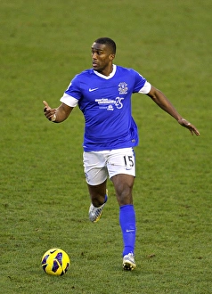 Everton 3 V Aston Villa 3 : Goodison Park : 02-02-2013 Prints: Sylvain Distin's Unforgettable Performance: Everton's Thrilling 3-3 Draw Against Aston Villa (02-02-2013)