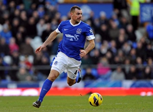 Everton 3 V Aston Villa 3 : Goodison Park : 02-02-2013 Prints: Thrilling 3-3 Draw: Everton vs. Aston Villa - Darron Gibson's Dramatic Performance