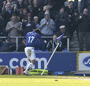 Everton v Aston Villa Gallery: Tim Cahill