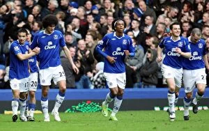 Images Dated 28th February 2009: Tim Cahill's Thrilling Goal: Everton's 1-0 Victory Over West Bromwich Albion (08/09, 28/2/09)