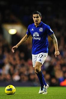 Images Dated 11th January 2012: Tim Cahill's Thrilling Goal: Everton's Victory Over Tottenham Hotspur